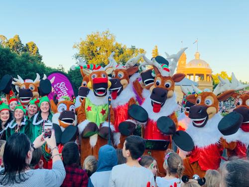 Christmas Tree Light up