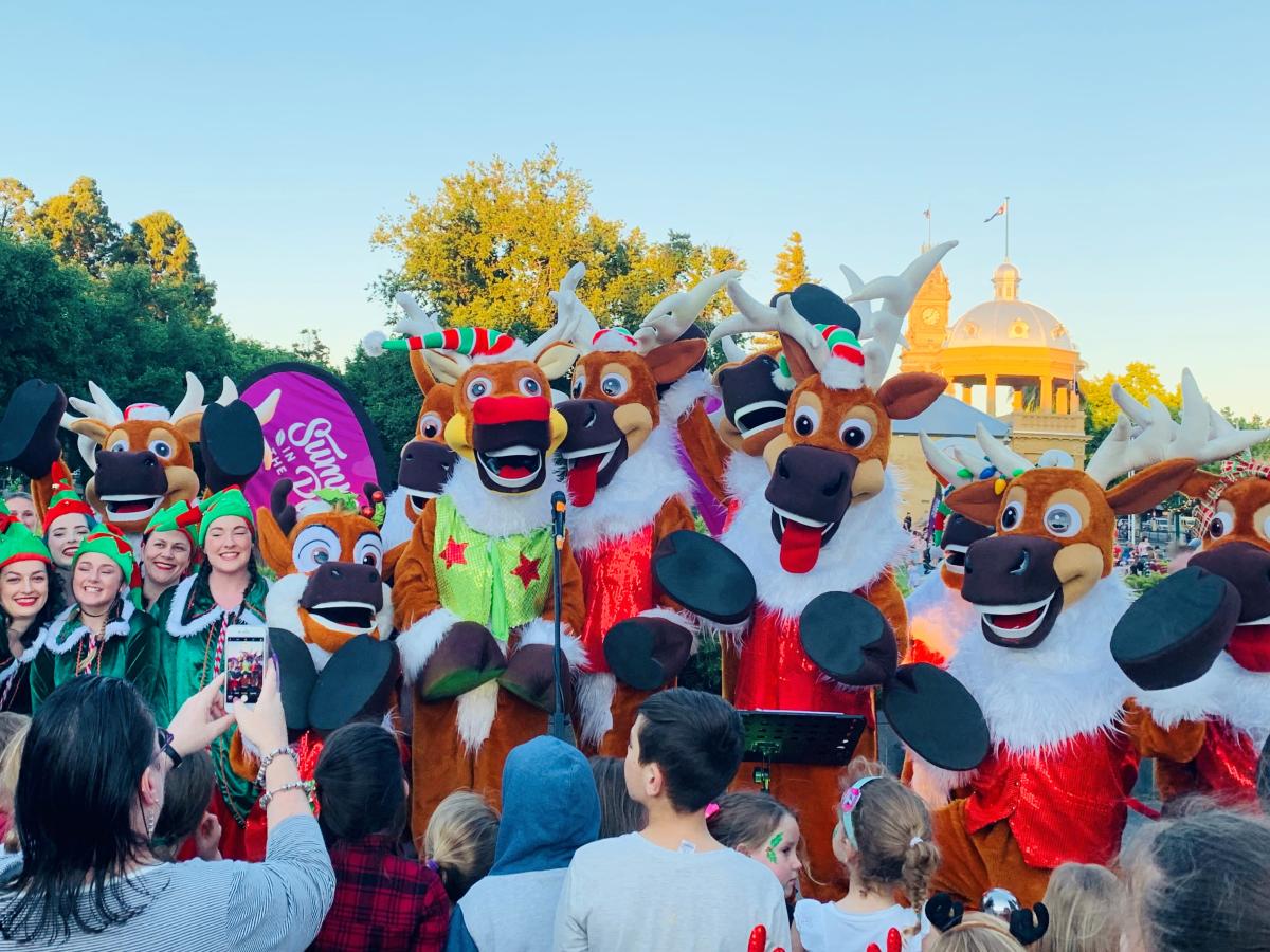 Christmas Tree Light up